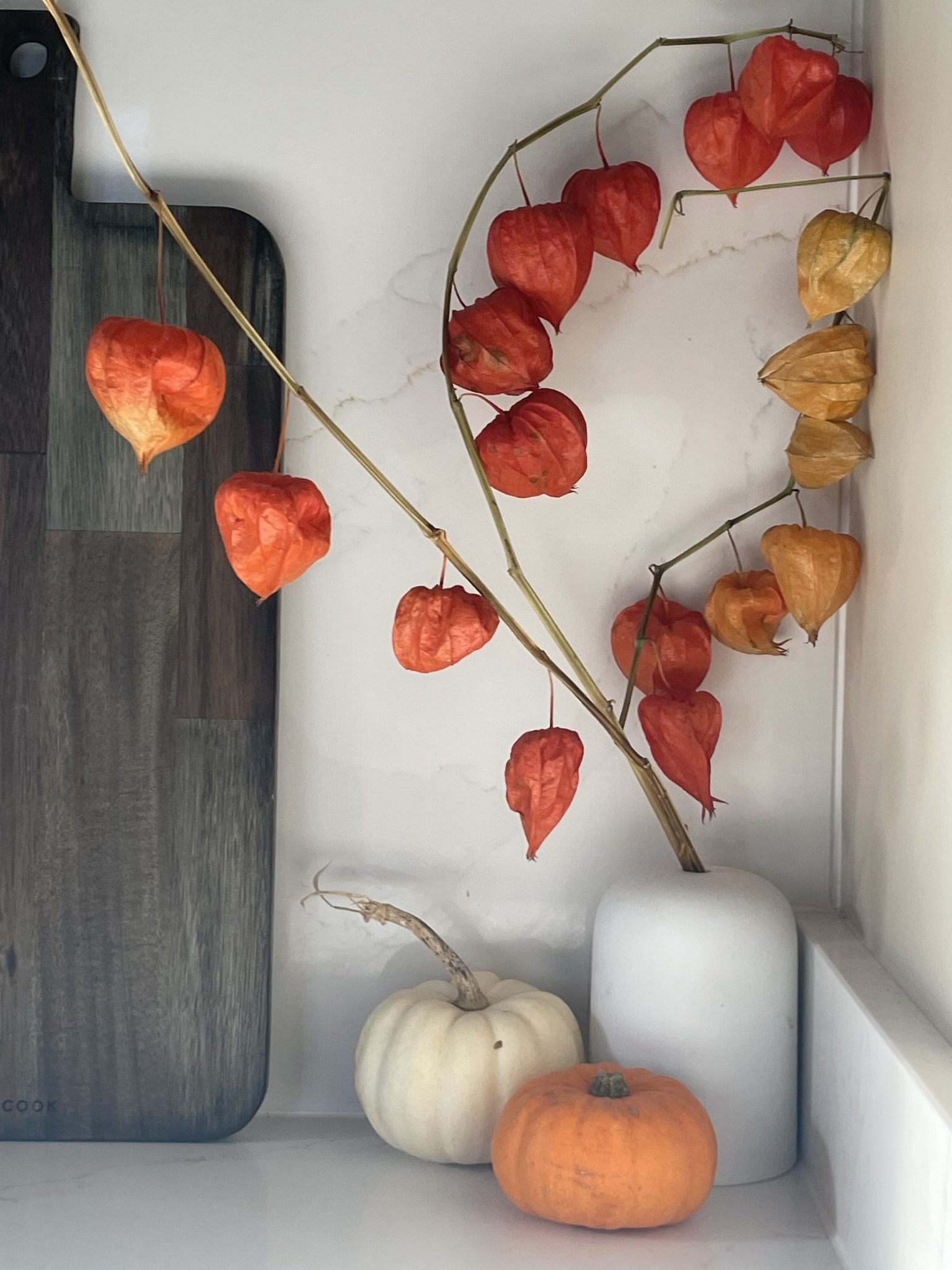 Chinese lantern branches in a white vase beside a walnut board and two small pumpkins